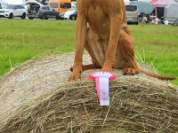 744862955_1001967822651547_7661549967661673630_n.jpeg 744862955_1001967822651547_7661549967661673630_n.jpeg