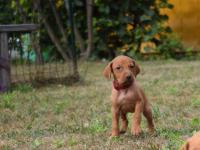 dsc_0864.jpg dsc_0864.jpg