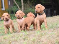 dsc_1082.jpg dsc_1082.jpg