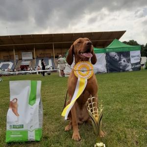 64303008_2320315001565060_2861449101134790656_n.jpg 64303008_2320315001565060_2861449101134790656_n.jpg