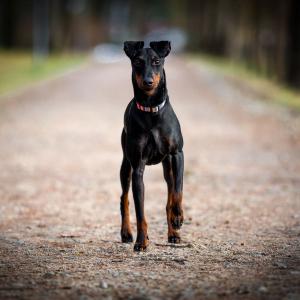 654y6532.jpg 654y6532.jpg