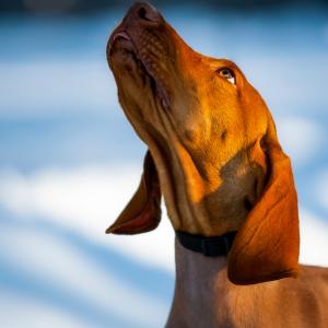 654y7944fb-standard.jpg 654y7944fb-standard.jpg