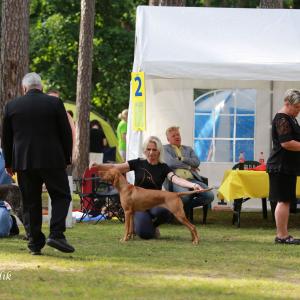 68503978_2069661829804290_2875810063023341568_o.jpg 68503978_2069661829804290_2875810063023341568_o.jpg