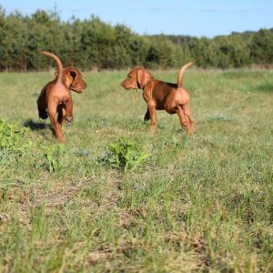 dsc_0046.jpg dsc_0046.jpg