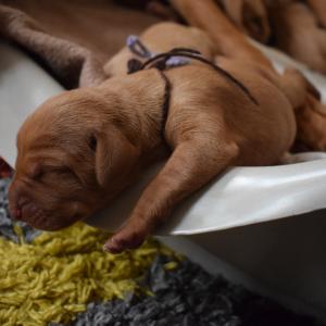 dsc_0211.jpg dsc_0211.jpg