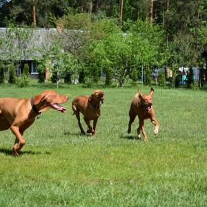 dsc_0469.jpg dsc_0469.jpg