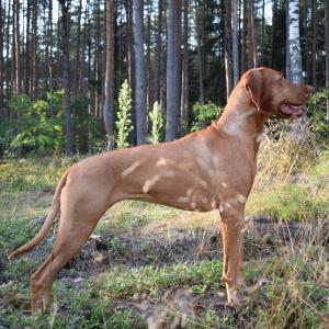 dsc_0882.jpg dsc_0882.jpg